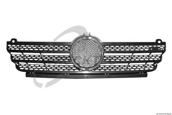Grila radiator