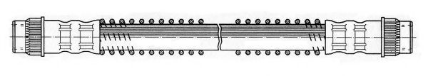 Furtun frana
