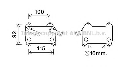 VO3155 Radiator ulei, ulei motor AVA QUALITY COOLING 