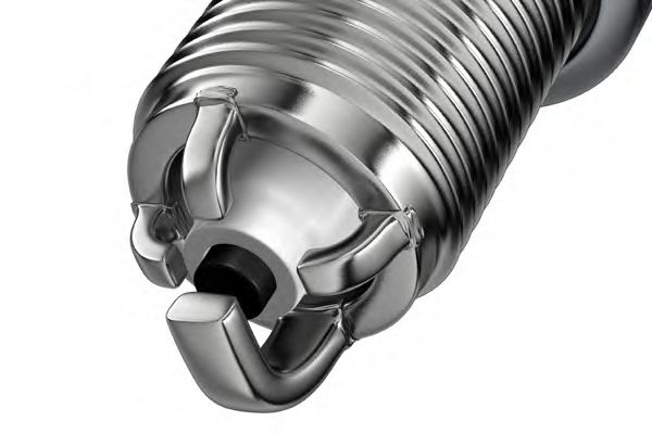 0910004036 Bujii EYQUEM 