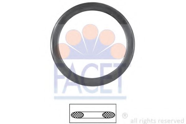 7.9535 Garnitura termostat FACET 