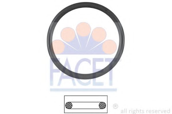 7.9538 Garnitura termostat FACET 