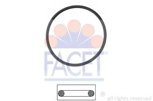 7.9550 Garnitura termostat FACET 