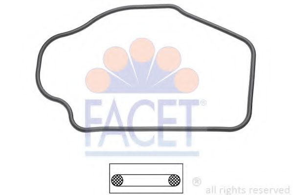 7.9552 Garnitura termostat FACET 