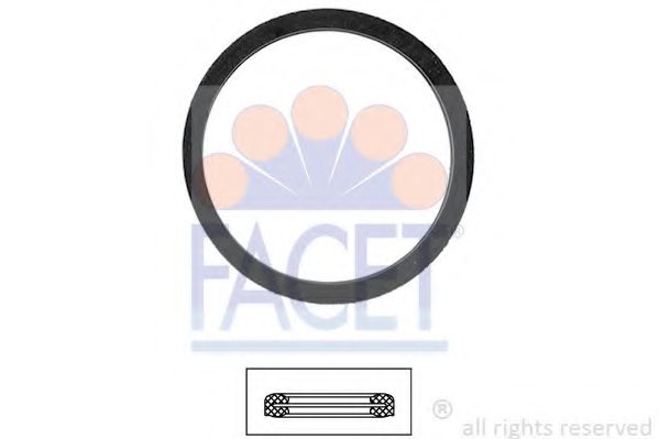 7.9556 Garnitura termostat FACET 