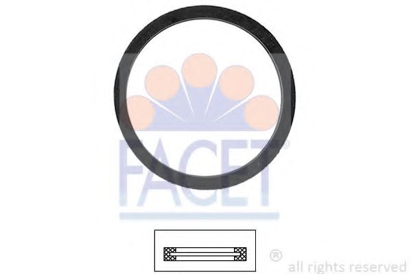 7.9560 Garnitura termostat FACET 