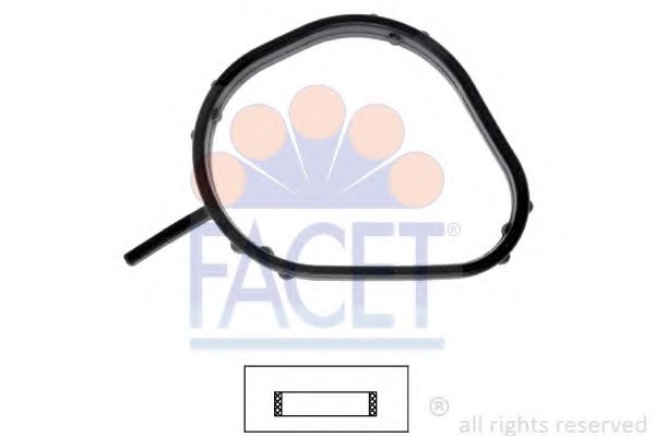 7.9697 Garnitura termostat FACET 
