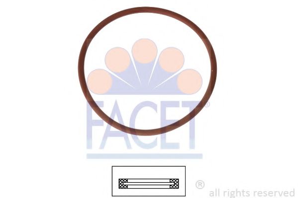 7.9705 Garnitura termostat FACET 