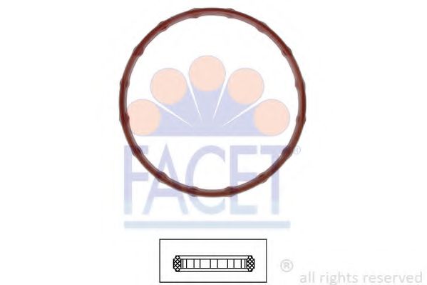 7.9711 Garnitura termostat FACET 