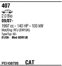 Sistem de esapament 2