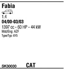 Sistem de esapament 2