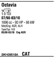 Sistem de esapament 2