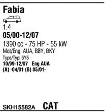 Sistem de esapament 2