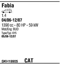 Sistem de esapament 2