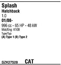 Sistem de esapament 2