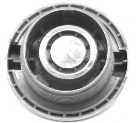 buson,vas expansiune 2