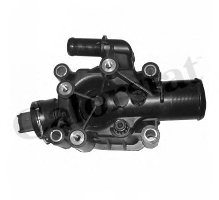 termostat,lichid racire