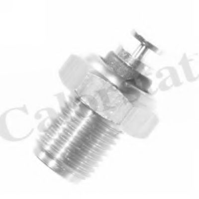 WS2521 senzor,temperatura lichid de racire CALORSTAT by Vernet 