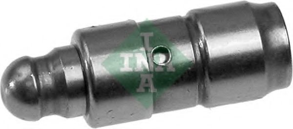 420 0098 10 culbutor supapa INA 