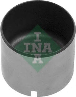 421 0006 10 culbutor supapa INA 