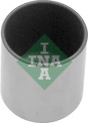 421 0009 10 culbutor supapa INA 