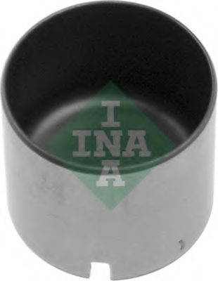 421 0011 10 culbutor supapa INA 