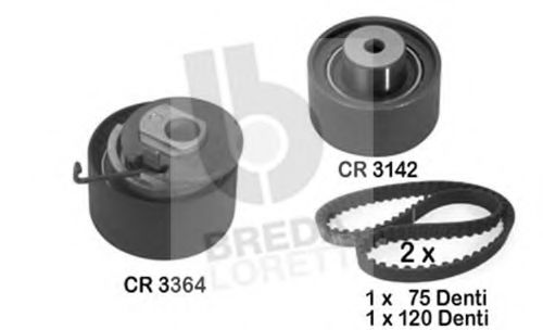 Set curea de distributie