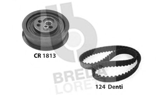 Set curea de distributie
