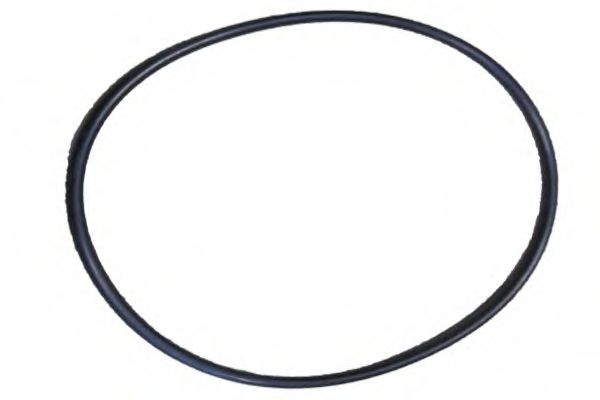 filtru combustibil 2