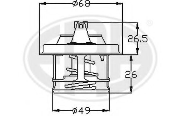 termostat,lichid racire