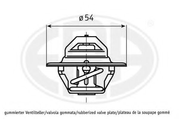 termostat,lichid racire