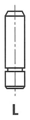 G11414 ghid supapa FRECCIA 