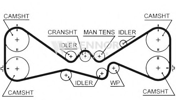 Curea de distributie 2
