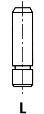 VG089500 ghid supapa IPSA 