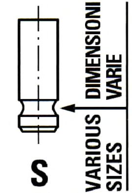 VL112900 Supapa admisie IPSA 