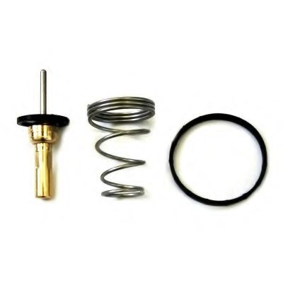 termostat,lichid racire