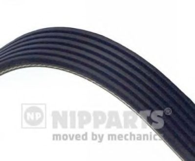 J1062100 Curea transmisie cu caneluri NIPPARTS 