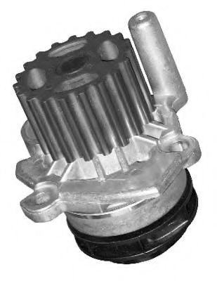 905K7 Set pompa apa + curea dintata MGA 