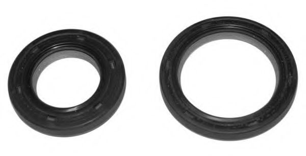 Set pompa apa + curea dintata 2