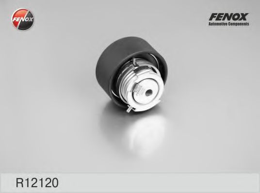 R12120 rola intinzator,curea transmisie FENOX 