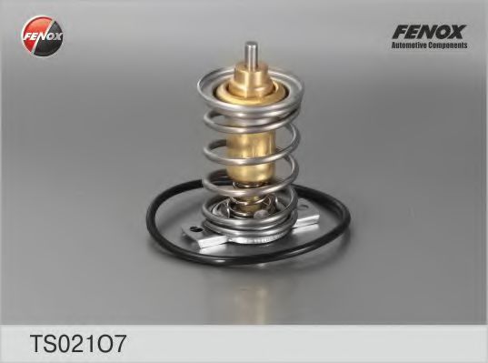 TS021O7 termostat,lichid racire FENOX 
