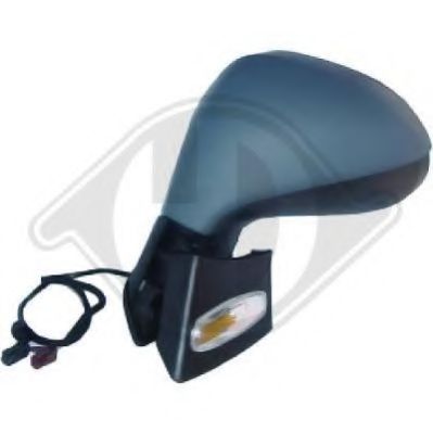 4226324 Oglinda exterioara DIEDERICHS 