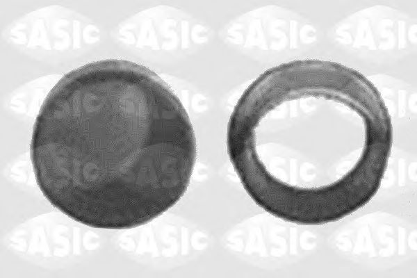 1005124 Set reparatie, corp ax SASIC 