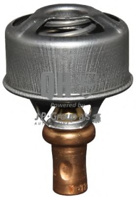 termostat,lichid racire