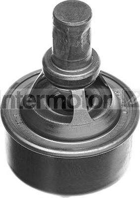 termostat,lichid racire