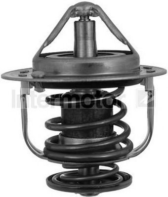 termostat,lichid racire