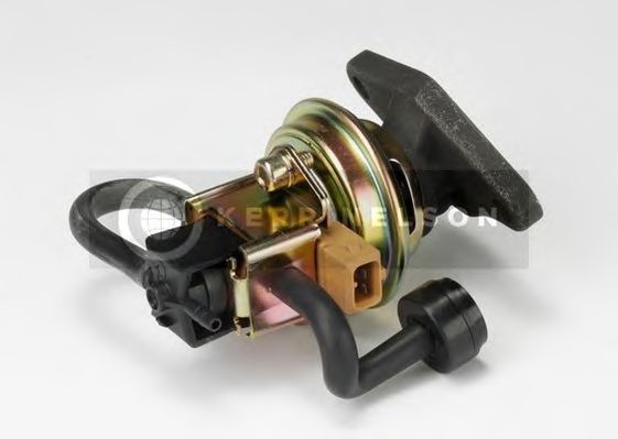 ERV081 Supapa EGR STANDARD 