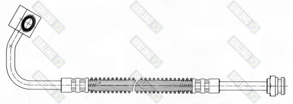 Furtun frana