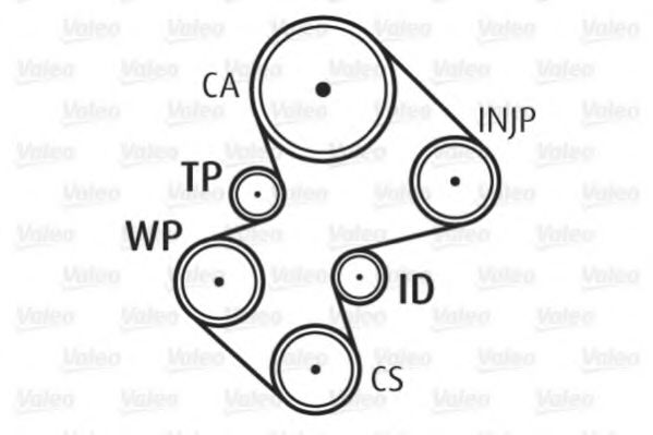Set pompa apa + curea dintata 3