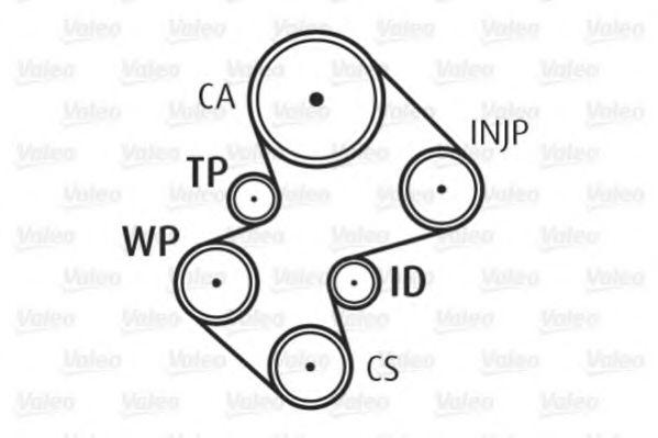 Set pompa apa + curea dintata 7